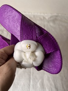 ����Ʈ ������ �̹���